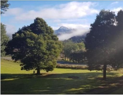 Russell Falls Holiday Cottages Parque Nacional Exterior foto