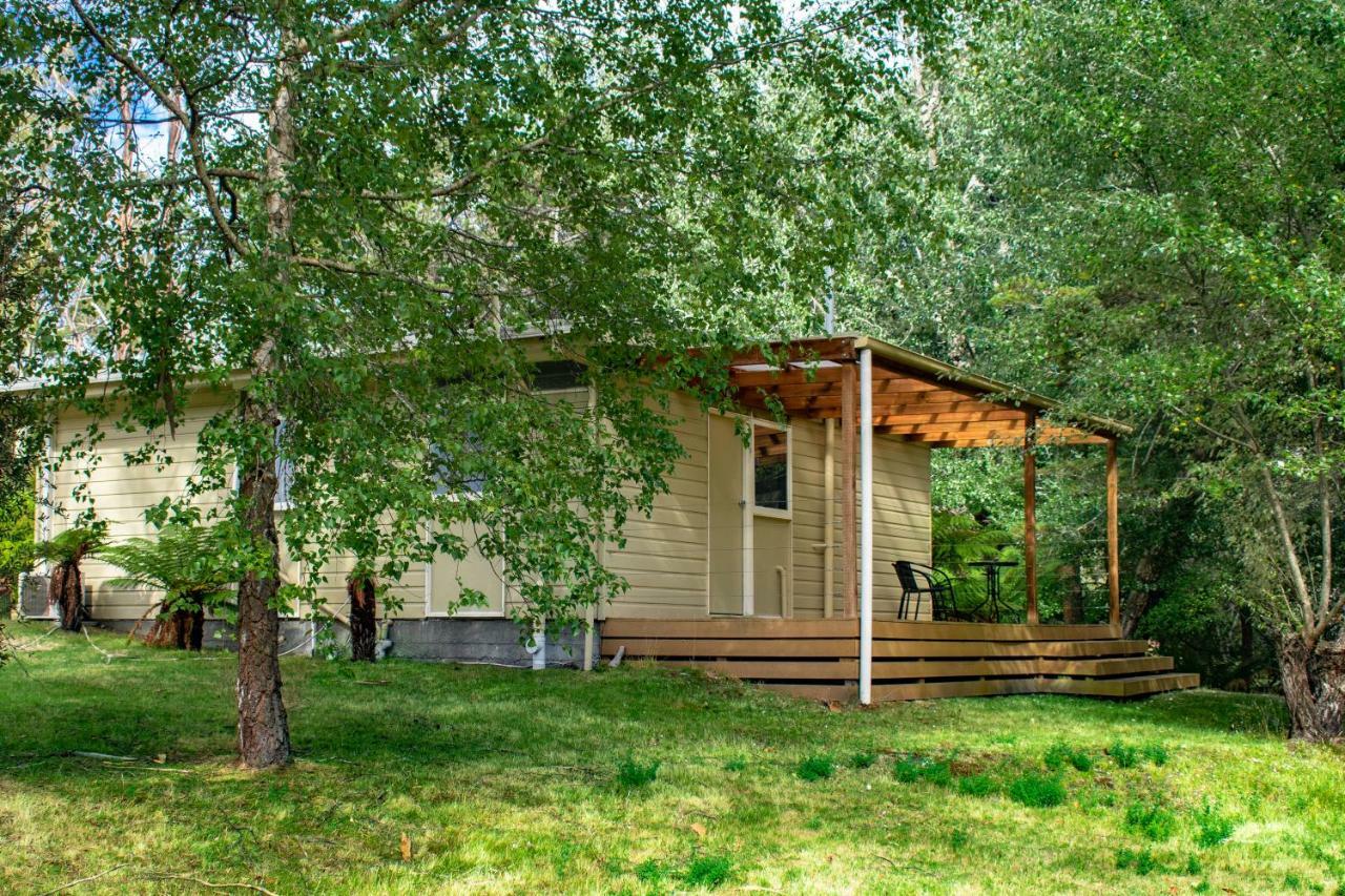 Russell Falls Holiday Cottages Parque Nacional Exterior foto