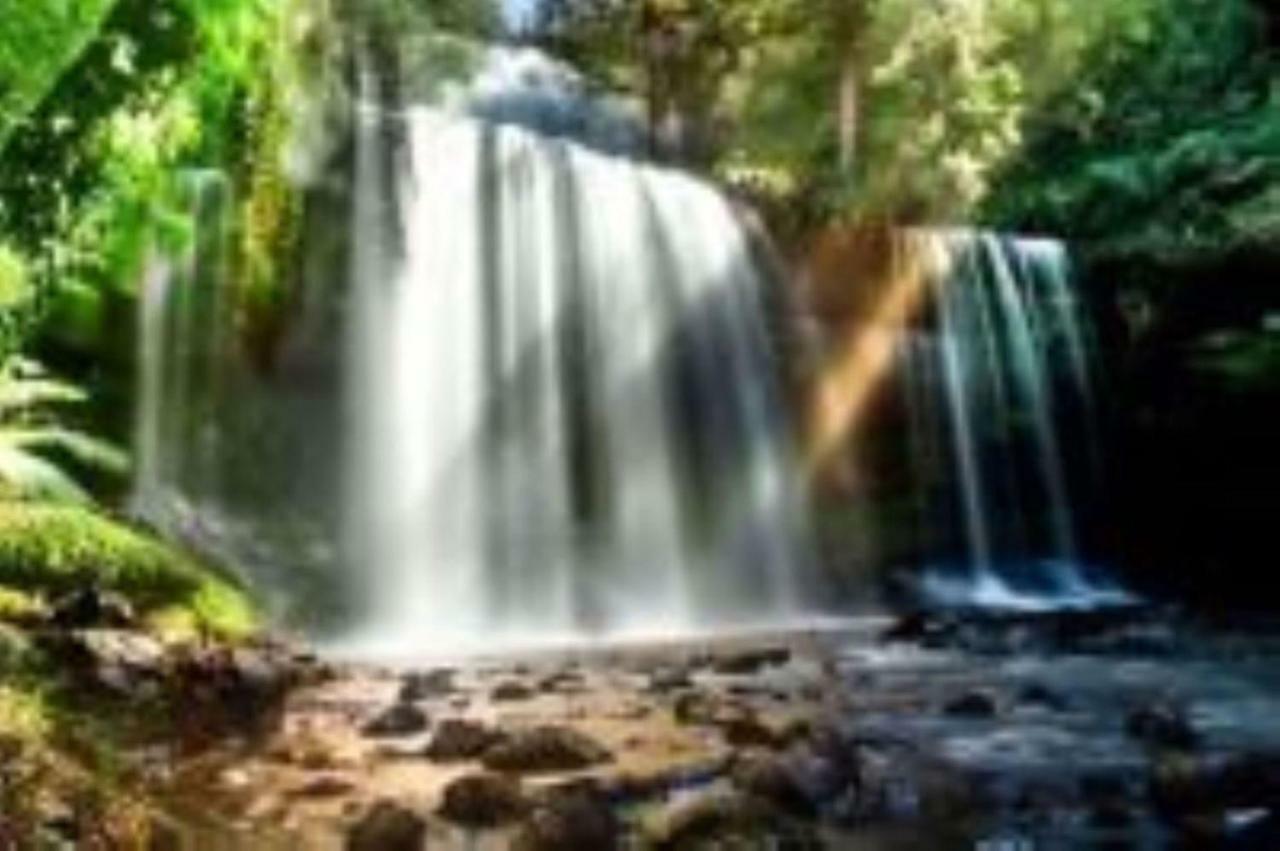 Russell Falls Holiday Cottages Parque Nacional Exterior foto